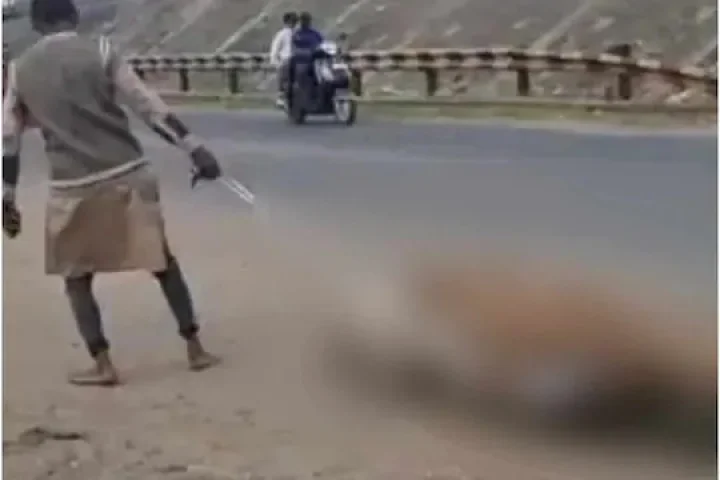 The crippled son arrived carrying the mother's body on a rake