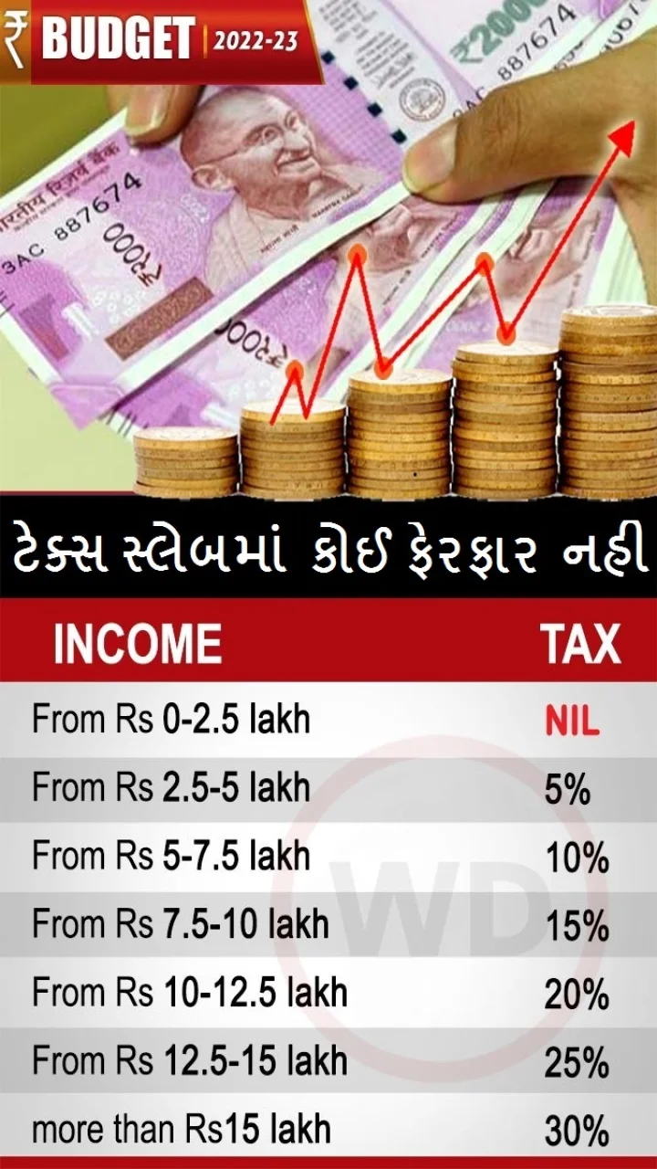 હુ ટેક્સ આપુ છુ, બજેટમાં મને શુ મળ્યુ - કરદાતા આ વખતે પણ ખાલી હાથ, ઈનકમ ટેક્સને લઈને કોઈ રાહત નહી