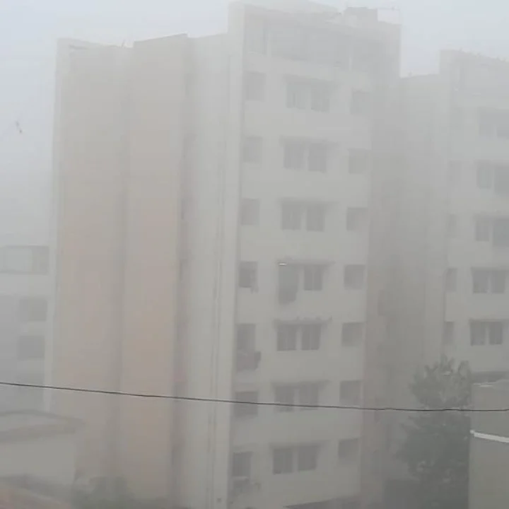 Gujarat Weather: ગુજરાતમાં સતાવશે ઠંડી કે રડાવશે ગરમી, જાણો IMD પાસેથી કેવુ રહેશે હવામાન ?