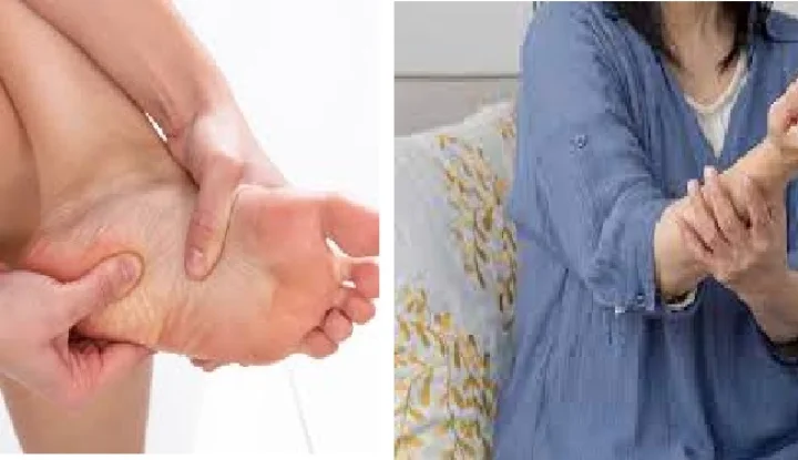 આણંદ જિલ્લા