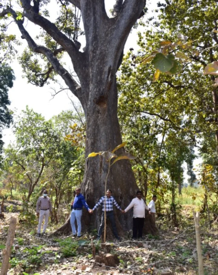 Gujarat in Chunawadi village 