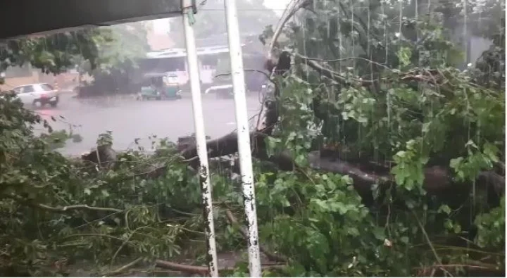 rain in gujarat