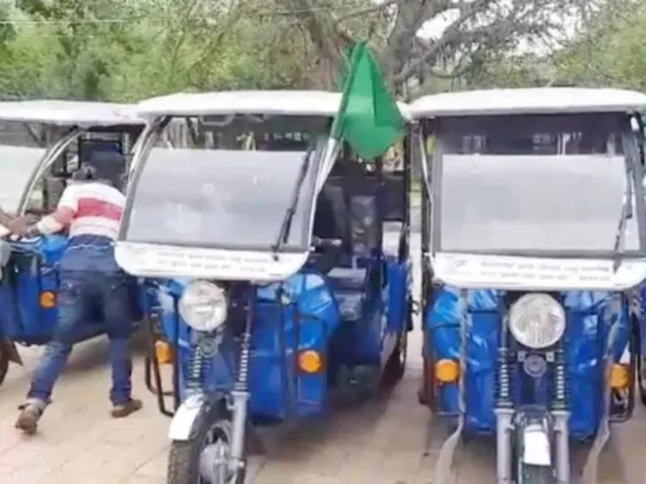 પોળોના જંગલો