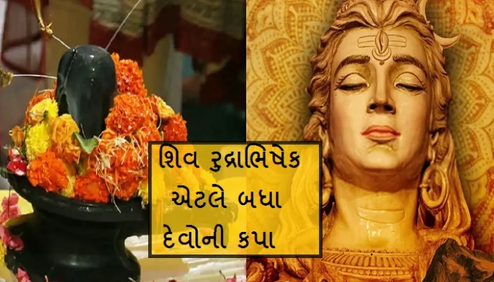 shiv