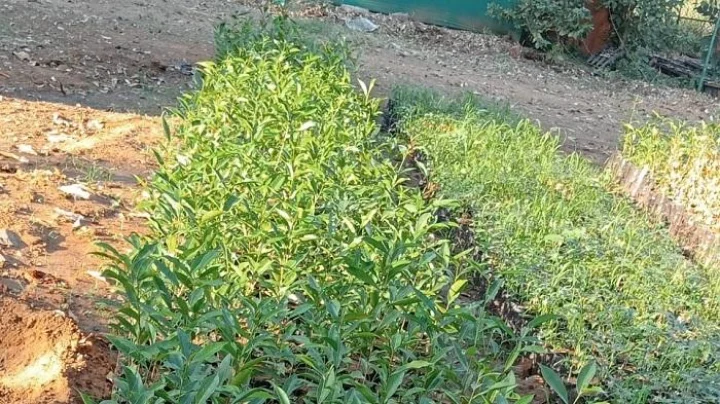 Career in BTech  Soil & Water Resource Engineering after 12th: बीटेक इन  मृदा आणि जलसंधारण अभियांत्रिकी इंजीनियरिंग मध्ये करिअर बनवा, पात्रता, शीर्ष महाविद्यालय, व्याप्ती ,पगार जाणून घ्या