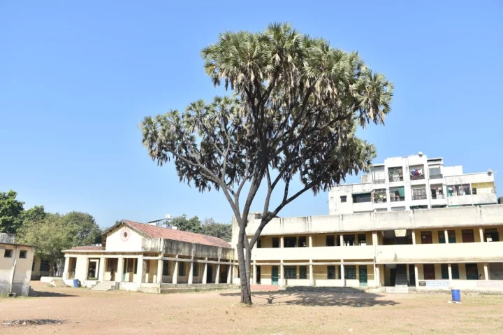 Precious Botanical Heritage