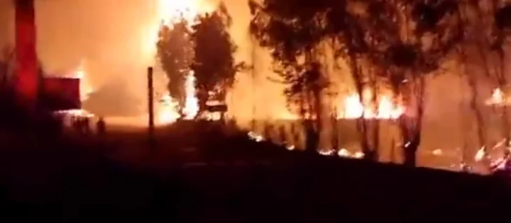 fire in the forests of Chile