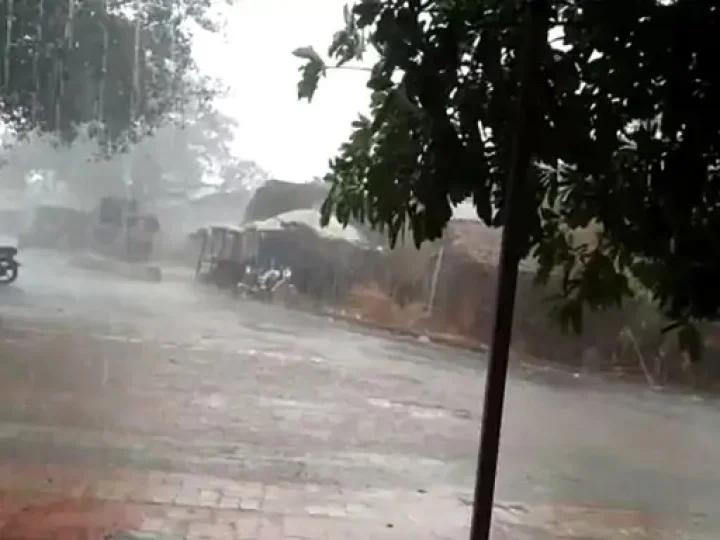 surat vadodara rain