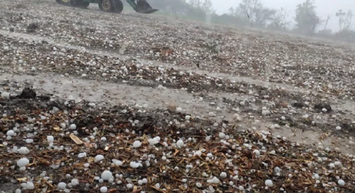 rain gujarat