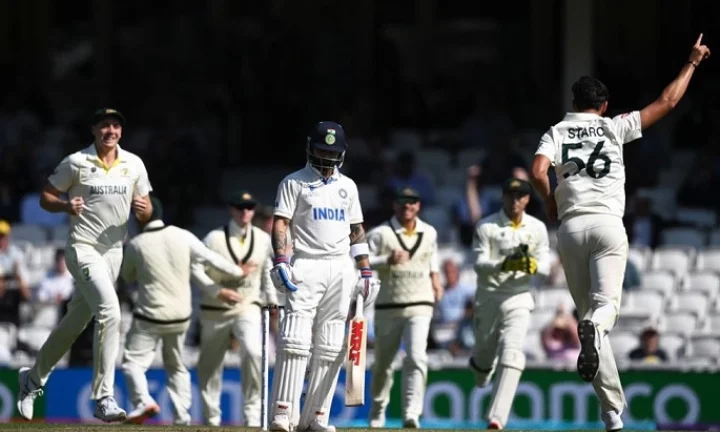 cricket