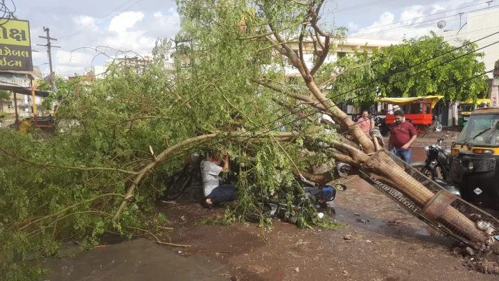 The impact of the storm was seen in Jamnagar city: