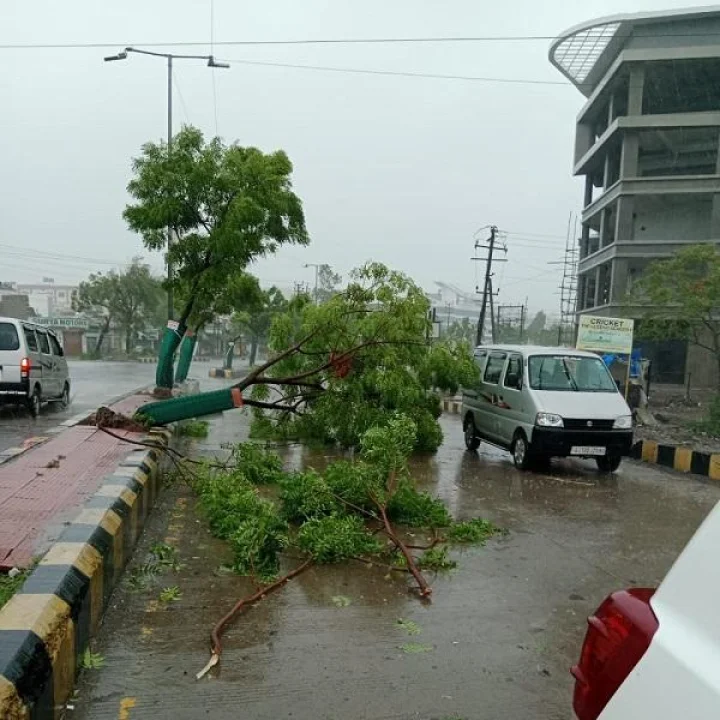 જામનગર અને દેવભૂમિ દ્વારકા જિલ્લામાં બિપોર જોય વાવાઝોડાએ સવા આઠ કરોડનું નુકસાન પહોંચાડ્યું