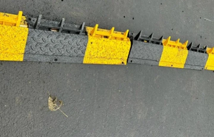 Tire killer bump on Ahmedabad road