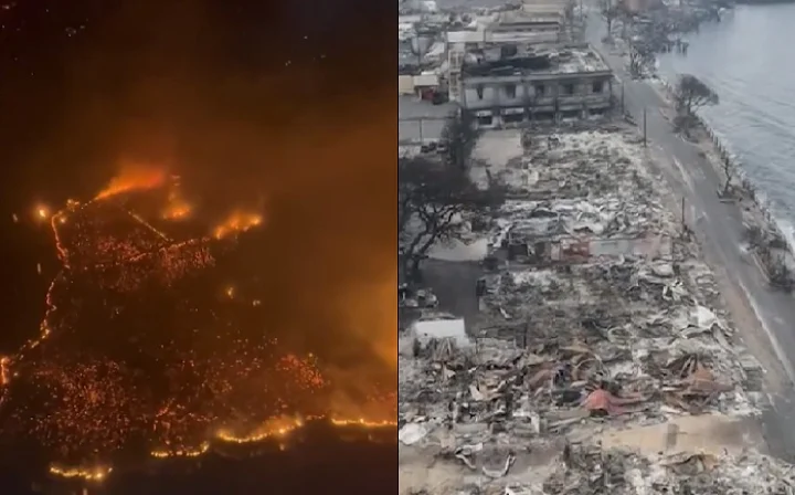 Hawaii wildfires