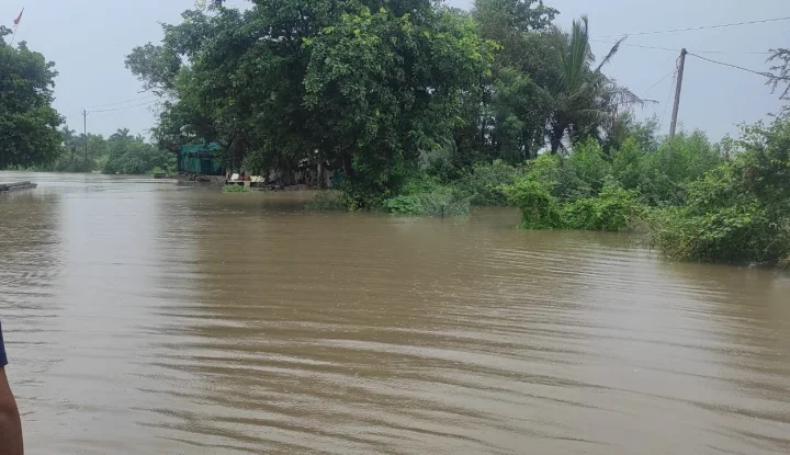 heavy rain in gujarat