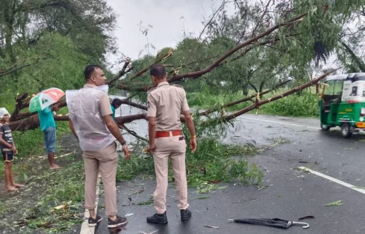 177 roads closed due to heavy rains in Gujarat