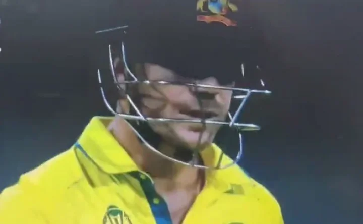 David Warner