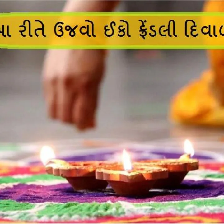 Diwali 2023 - આ પાચ રીત અપનાવીને આ દિવાળીને બનાવો Eco-friendly
