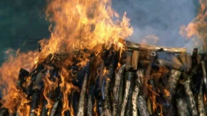 burning-pyre