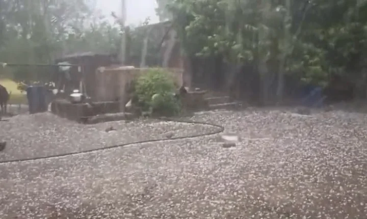 rain in gujarat