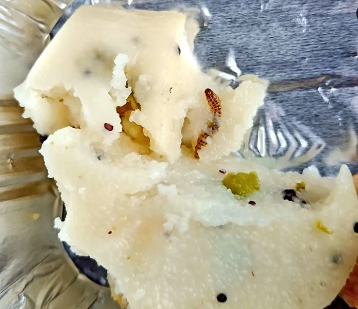 makar sankranti