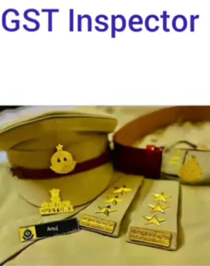 GST inspector