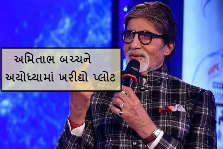 Amitabh Bachchan bought a plot in Ayodhya