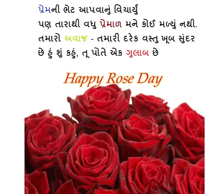 rose day shayari in gujarati