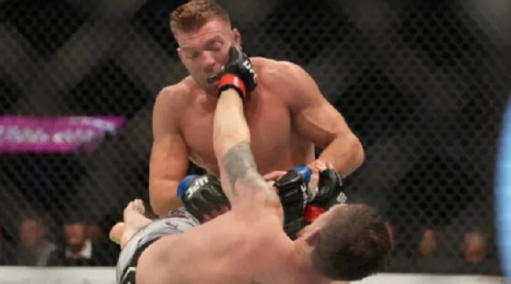 wwe fight