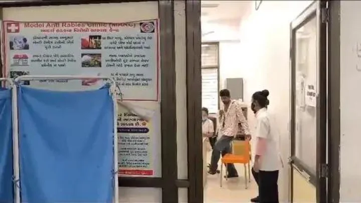 More than 19 thousand people were bitten by dogs ...