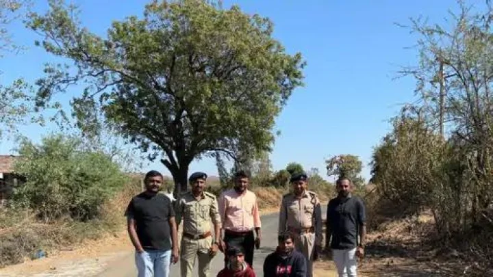 Wildlife harassment incident