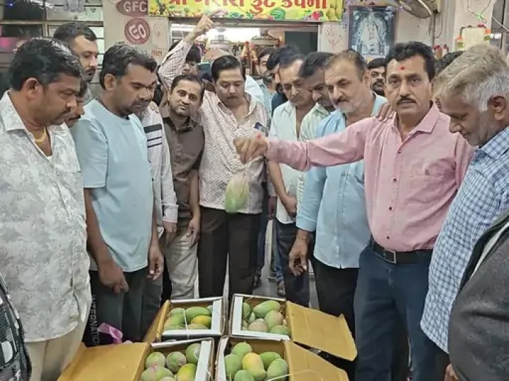 rate of Kesar Mango