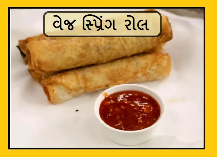 Snakcks Recipe વેજ સ્પ્રિંગ રોલ - અચાનક ઘરે આવે મેહમાન તો 15 મિનિટમાં બનાવો આ સ્નેક્સ