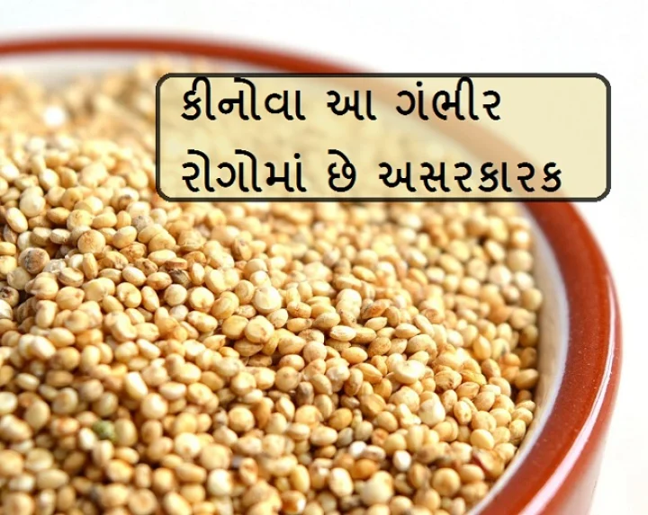 Powerfood Quinoa
