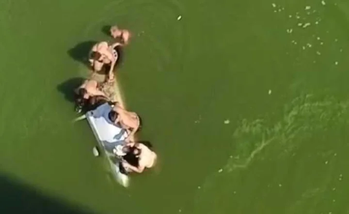 Dhoraji  car broke railing and fell into Bhadar river