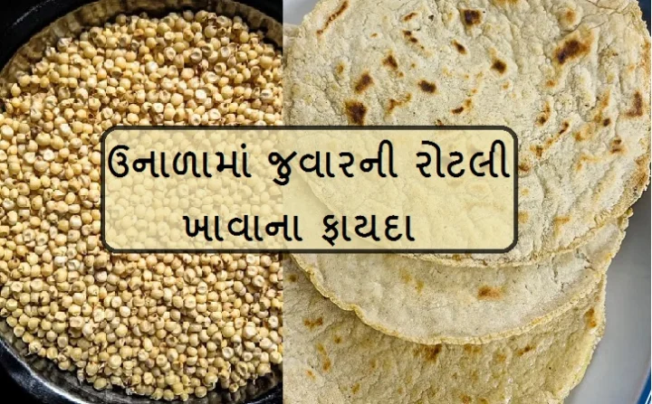 Jowar Roti Is Best For Summer