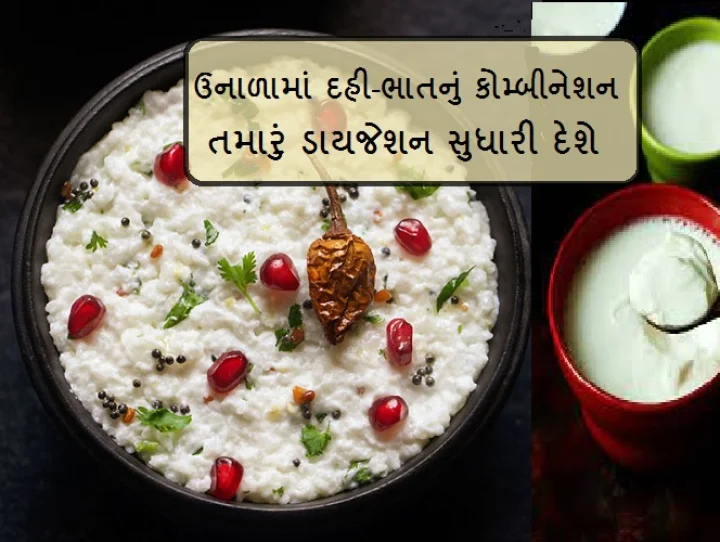 curd rice