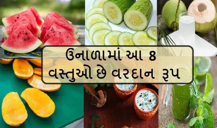 summer food