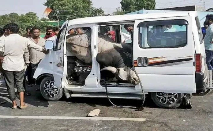 Banaskantha eco car and bull tragedy