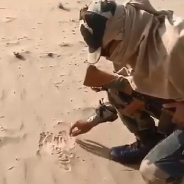 BSF જવાને 47 ડિગ્રી ગરમ રેતીમાં પાપડ શેક્યા viral video
