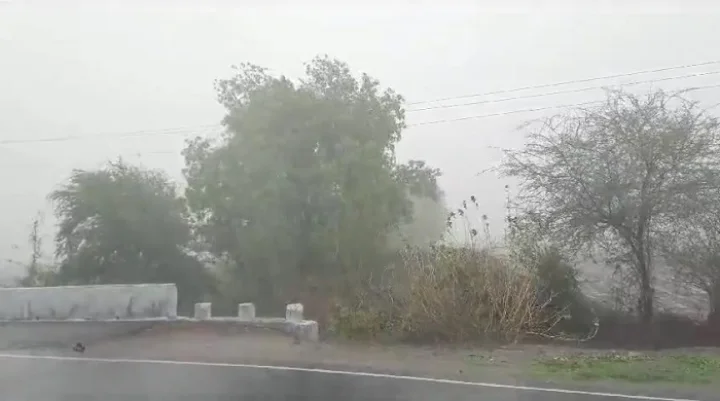 Yellow alert in all districts except north-central Gujarat, possibility of heavy rain