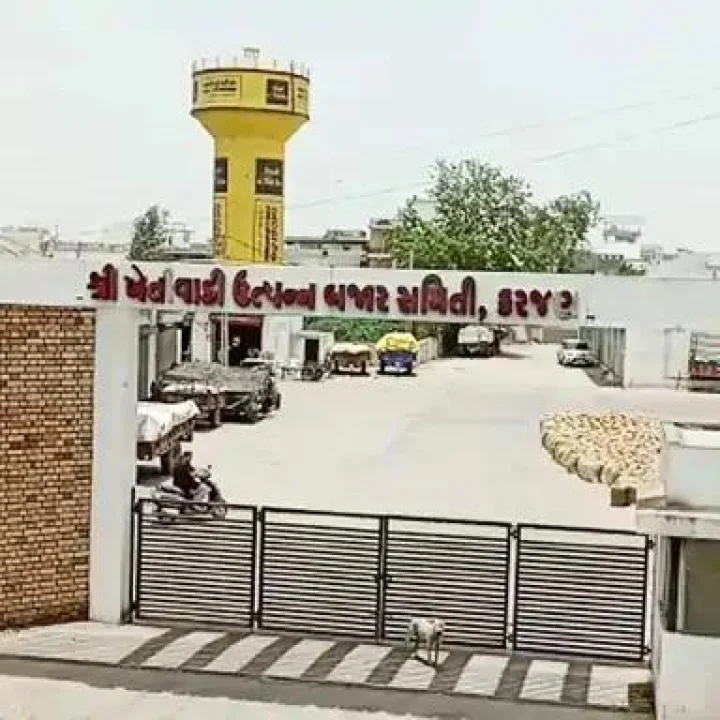 કરજણઃ એક જ ગામના બે નેતાઓએ જીવન ટૂંકાવ્યું, આજે ભાજપના નેતાએ આપઘાત કર્યો