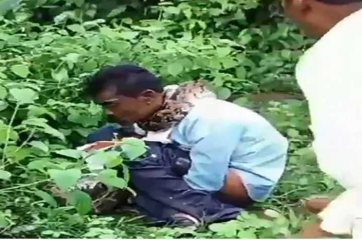 snake on man