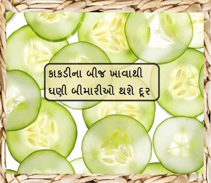 Cucumber Seeds