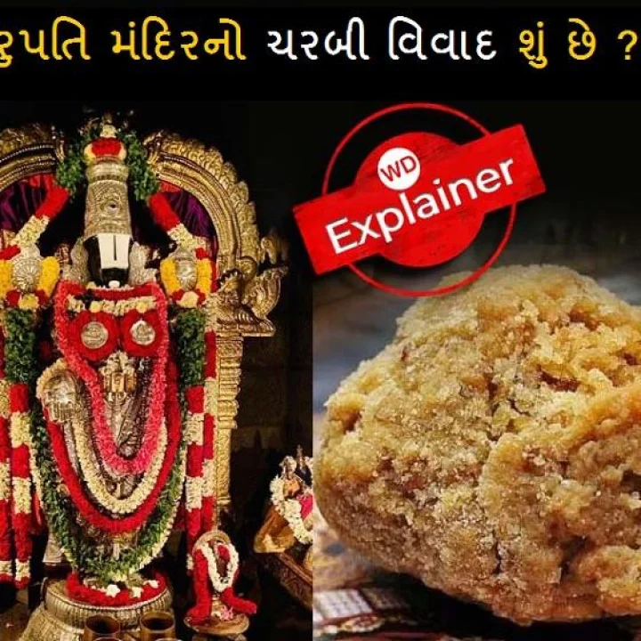 તિરુપતિ મંદિરના પ્રસાદ વિવાદમાં સાંભળવા મળતા એનિમલ ટેલો, લાર્ડ અને માછલીના તેલ જેવા નામોનો અર્થ શું છે?