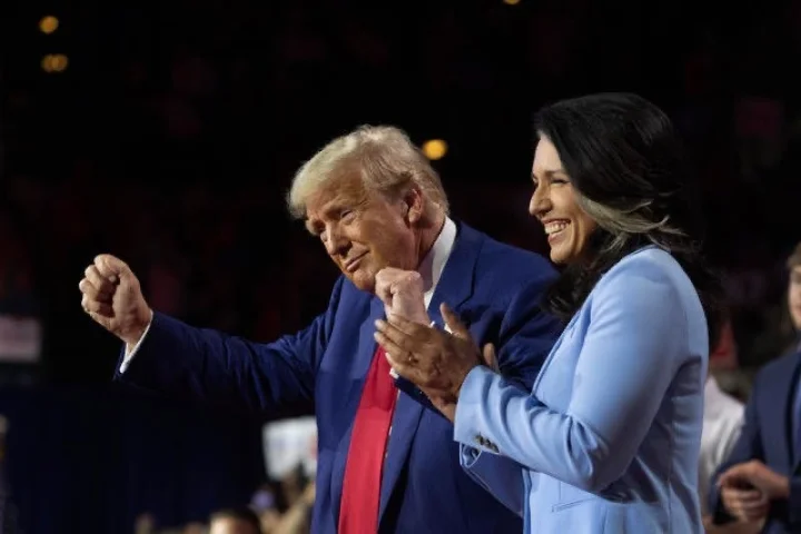 Tulsi Gabbard