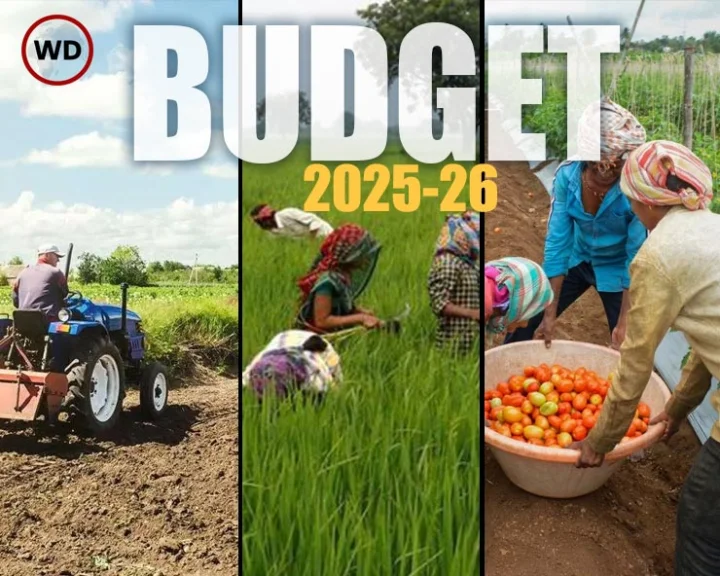Budget 2025 For Agriculture Sector