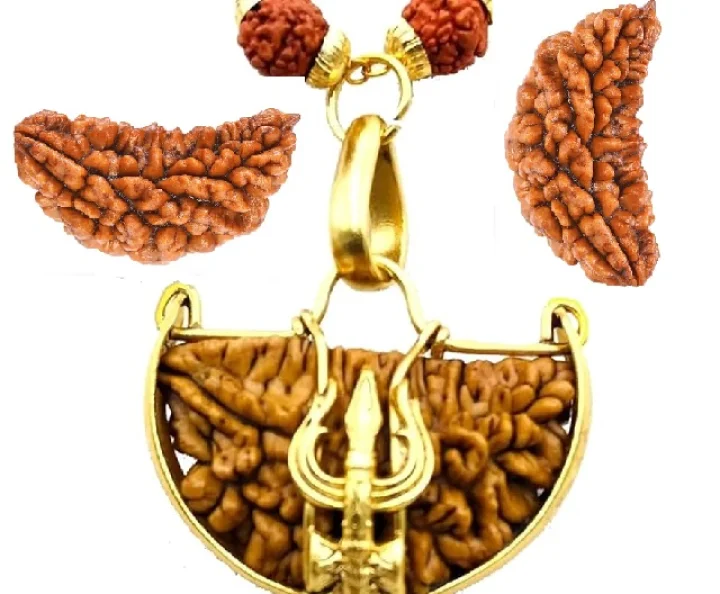Ekmukhi Rudraksha