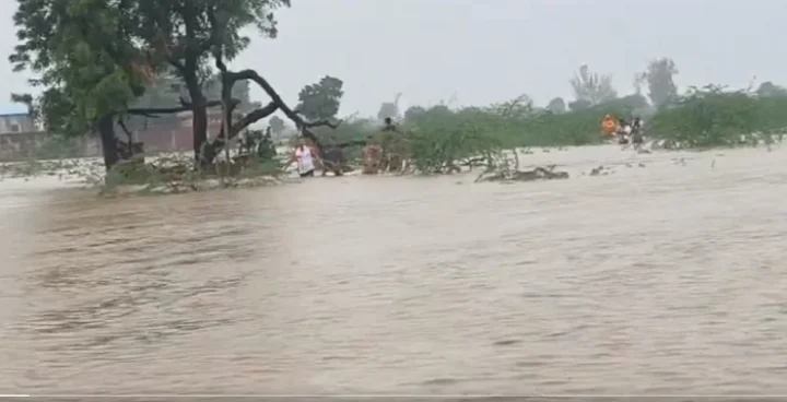 rain in gujarat