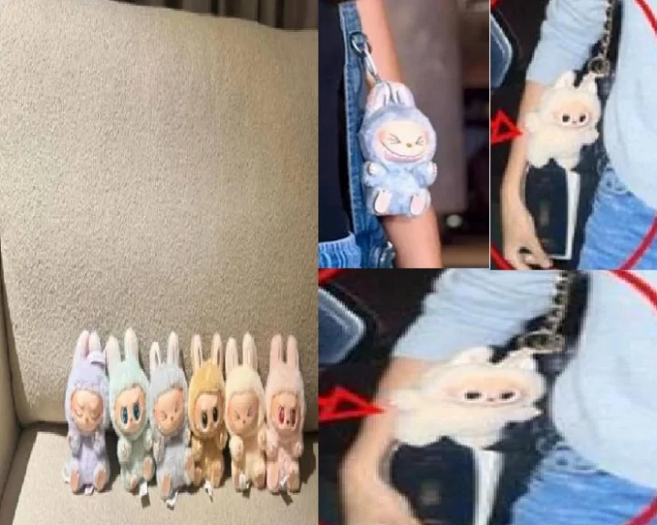 Labubu Doll Decoration Ideav